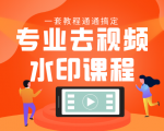 专业去视频水印教程 静态水印、动态水印、文字水印、图片水印一套教程通通搞定-赚金金-技能学习分享
