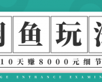 龟课·闲鱼项目玩法实战班第12期,操作10天左右利润有8000元细节玩法-赚金金-技能学习分享