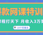爆款网课特训营,一套课程打天下,网课变现的10个实操法,月收入3万到10万-赚金金-技能学习分享