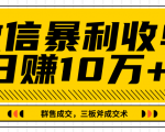 微信暴利收单日赚10万+,IP精准流量黑洞与三板斧成交术帮助你迅速步入正轨(完结)-赚金金-技能学习分享