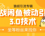 狼叔实战闲鱼被动引流3.0技术,无限上架玩法,免费送被动引流,高阶玩法实战总结-赚金金-技能学习分享