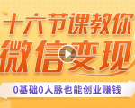 十六节课教你零基础微信变现,用单品打爆市场,每月收入超过10万+-赚金金-技能学习分享