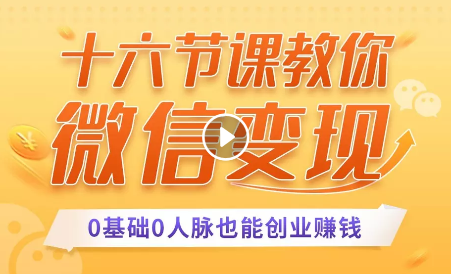 十六节课教你零基础微信变现，用单品打爆市场，每月收入超过10万+-赚金金-技能学习分享