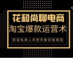 花和尚·天猫淘宝爆款运营实操技术,手把手教你月销万件的爆款打造技巧-赚金金-技能学习分享