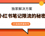 小红书笔记限流的秘密,被限流的笔记独家解决方案,打造高质量账号(共3节视频)-赚金金-技能学习分享