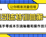 卓凡引流特训营第一期:高手零成本引流秘籍和操作技巧,让你精准流量倍增-赚金金-技能学习分享