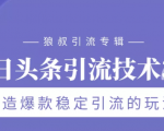 狼叔今日头条引流技术3.0,打造爆款稳定引流的玩法,VLOG引流技术-赚金金-技能学习分享