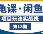 龟课·闲鱼项目玩法实战班第13期,轻松玩转闲鱼,多渠道多方法引流到私域流量池-赚金金-技能学习分享