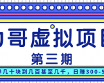 力哥实操内训虚拟项目第三期,每单几十块到几百甚至几千,日赚300-500+-赚金金-技能学习分享