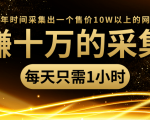 年赚十万的采集站,每天却只需要1小时,一年时间采集出一个售价10W以上的网站-赚金金-技能学习分享
