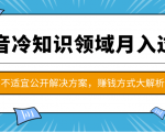 抖音冷知识领域月入过万项目,不适宜公开解决方案 ,抖音赚钱方式大解析!-赚金金-技能学习分享