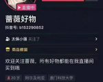 爆抖联盟蔷薇好物连怼100技术,一天连怼上百个视频,单场直播平均带货30万玩法-赚金金-技能学习分享
