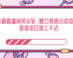 抖音直播间风火轮,暴力微信引流技术,低成本日加上千法-赚金金-技能学习分享