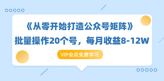 《从零开始打造公众号矩阵》批量操作20个号，每月收益大概8-12W（44节课）-赚金金-技能学习分享