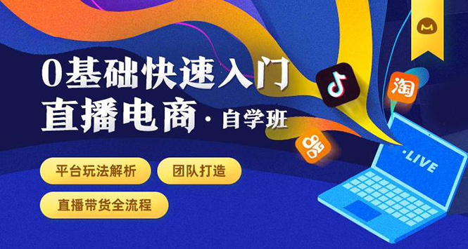 0基础快速入门直播电商课程：直播平台玩法解析-团队打造-带货全流程等环节-赚金金-技能学习分享