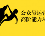 公众号运营高阶能力35讲,从月薪3k到月薪30k,新媒体人的必修课-赚金金-技能学习分享