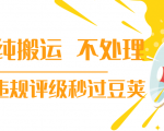 抖音纯搬运 不处理 小技巧,30秒发一个作品,避免违规评级秒过豆荚-赚金金-技能学习分享