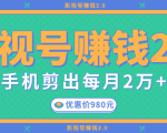 影视号赚钱项目2.0,无需电脑,一部手机剪出每月2W+收入-赚金金-技能学习分享