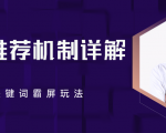B站推荐机制详解,利用推荐系统反哺自身,视频关键词霸屏玩法(共2节视频)-赚金金-技能学习分享