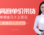 抖音高单价带货项目,一单佣金几十上百元,核心套路月入几十万(共3节)-赚金金-技能学习分享