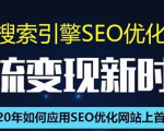 SEO搜索引擎优化总监实战VIP课堂【透析2020最新案例】快速实现年新30W-赚金金-技能学习分享