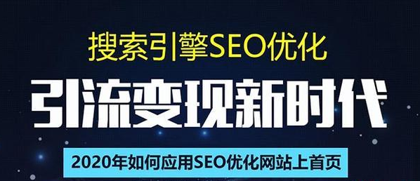 SEO搜索引擎优化总监实战VIP课堂【透析2020最新案例】快速实现年新30W-赚金金-技能学习分享