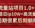 《大流量站项目1.0+2.0》打造日IP10W+高流量站,前期很累后期躺赚-赚金金-技能学习分享