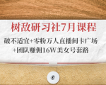树敌研习社7月课程:破不适宜+零粉万人直播间卡广场+团队赚佣16W美女号套路-赚金金-技能学习分享