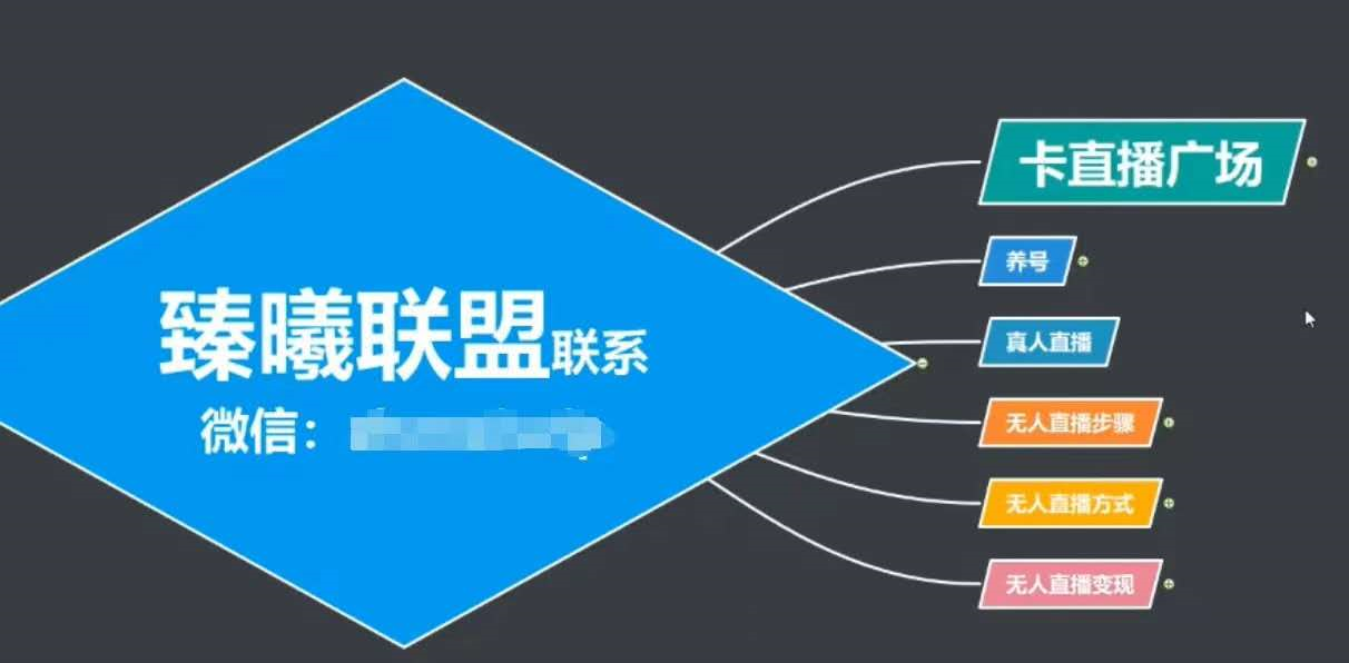 臻曦联盟，最新无人直播万人在线技术理原及详细操作步骤解析（视频教程）-赚金金-技能学习分享