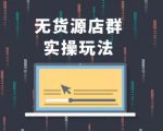 无货源店群实操玩法,蓝海选品的独特思路,店群软件操作方法(45节视频课)-赚金金-技能学习分享