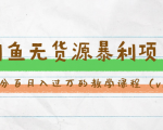斜杠蜻蜓·闲鱼无货源暴利项目:让你百分百月入过万的教学课程(v1-v5班)-赚金金-技能学习分享