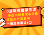 0基础直播带货课:小白也能低成本搭建疯狂卖货直播间:1场直播带货6万-赚金金-技能学习分享