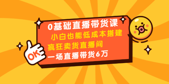 0基础直播带货课：小白也能低成本搭建疯狂卖货直播间：1场直播带货6万-赚金金-技能学习分享