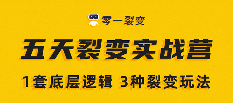 《5天裂变实战训练营》1套底层逻辑+3种裂变玩法，2020下半年微信裂变玩法-赚金金-技能学习分享