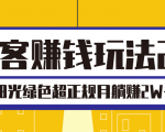 淘客赚钱玩法2.0,阳光绿色超正规项目,月躺赚2W+【视频课程】-赚金金-技能学习分享