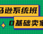 亚马逊系统班,专为0基础卖家量身打造,亚马逊运营流程与架构-赚金金-技能学习分享