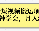 操作性非常强的头条号短视频搬运项目,3分钟学会,轻松月入8000+-赚金金-技能学习分享
