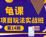 龟课·闲鱼项目玩法实战班第14期,批量细节玩法,一个月收益几万-赚金金-技能学习分享