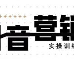 《12天线上抖音营销实操训练营》通过框架布局实现自动化引流变现-赚金金-技能学习分享