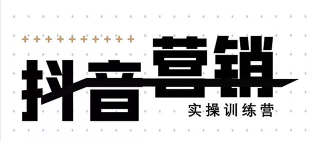 《12天线上抖音营销实操训练营》通过框架布局实现自动化引流变现-赚金金-技能学习分享