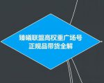 臻曦联盟抖音高权重广场号无人直播正规品带货全解-赚金金-技能学习分享