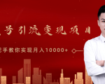 微信视频号运营变现课,带你玩转视频号实现月入10000+-赚金金-技能学习分享