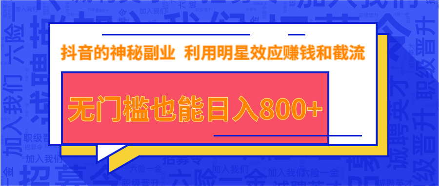 抖音上神秘副业项目,利用明星效应赚钱和截流,无门槛也能日入800+-赚金金-技能学习分享