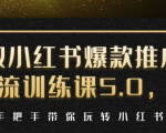 小红书爆款推广引流训练课5.0,手把手带你玩转小红书(17节实操视频+话术)-赚金金-技能学习分享