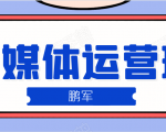 鹏哥自媒体运营班、宝妈兼职,也能月入2W,重磅推荐!【价值899元】-赚金金-技能学习分享