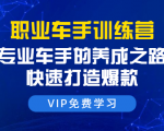 职业车手训练营:专业车手的养成之路,快速打造爆款(8节-无水印直播课)-赚金金-技能学习分享
