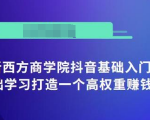 抖音基础入门班:小白0基础学习打造一个高权重赚钱的抖音号-赚金金-技能学习分享