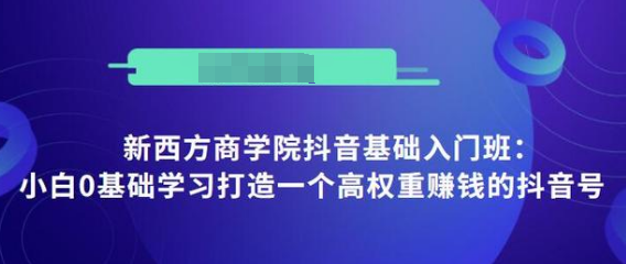 抖音基础入门班：小白0基础学习打造一个高权重赚钱的抖音号-赚金金-技能学习分享