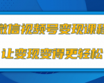 微信视频号变现项目，0粉丝冷启动项目和十三种变现方式-赚金金-技能学习分享