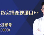 柚子分享课:微信视频号变现攻略,新手零基础轻松日赚千元-赚金金-技能学习分享